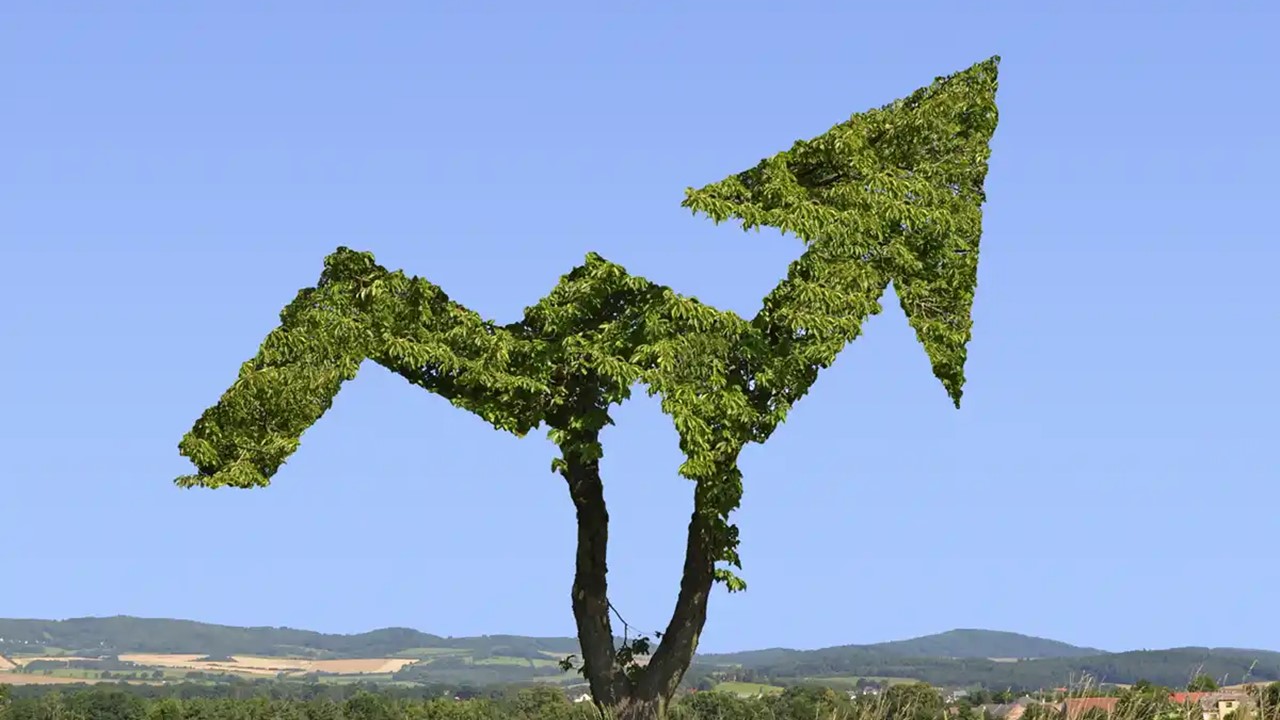 fotoART by Thommy Weiss.jpg